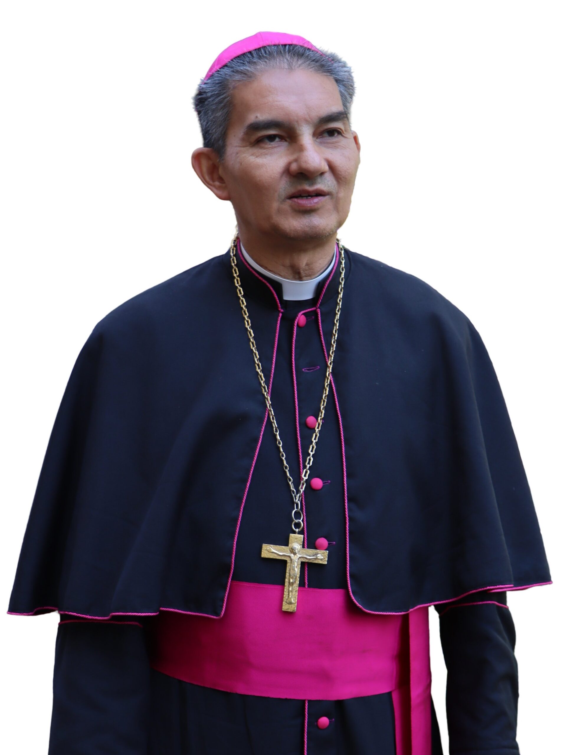 dom joao carlos scaled