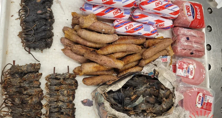 malawi dead mice beef seized chicago ohare airport 750x400 1