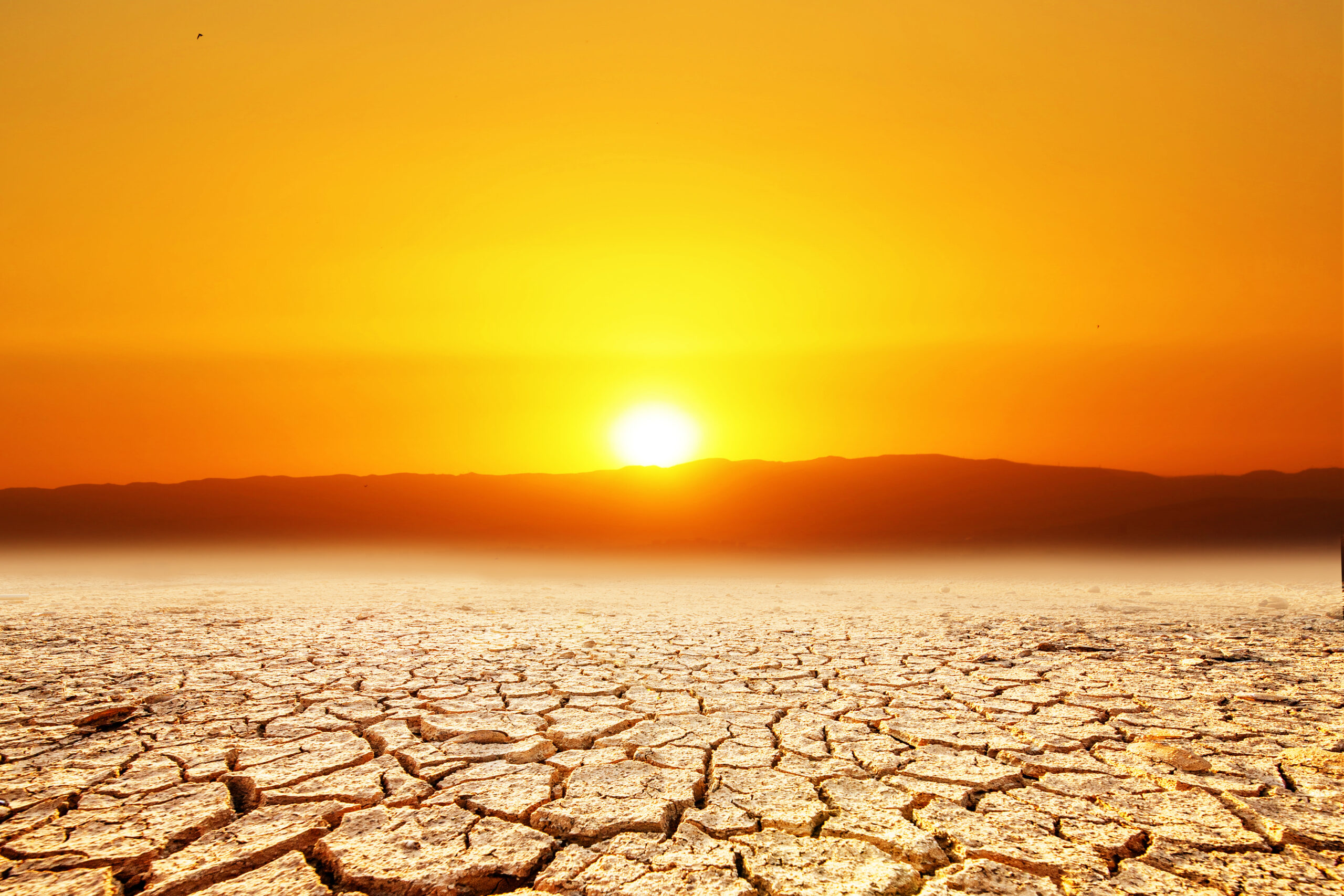 vecteezy concept of global warming and climate environment change 9273869 scaled
